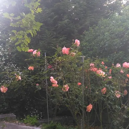 Vendégház Relaxbakony Csopak